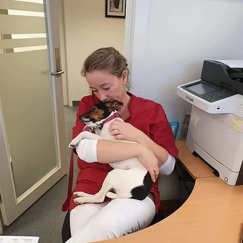 Vetrinær holder hund