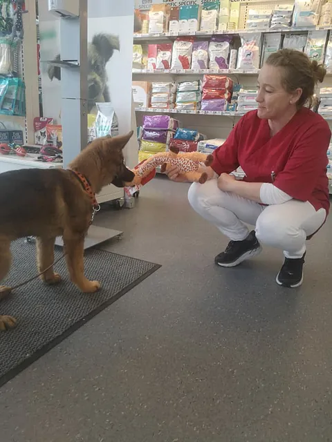 Hund leker med veterinær