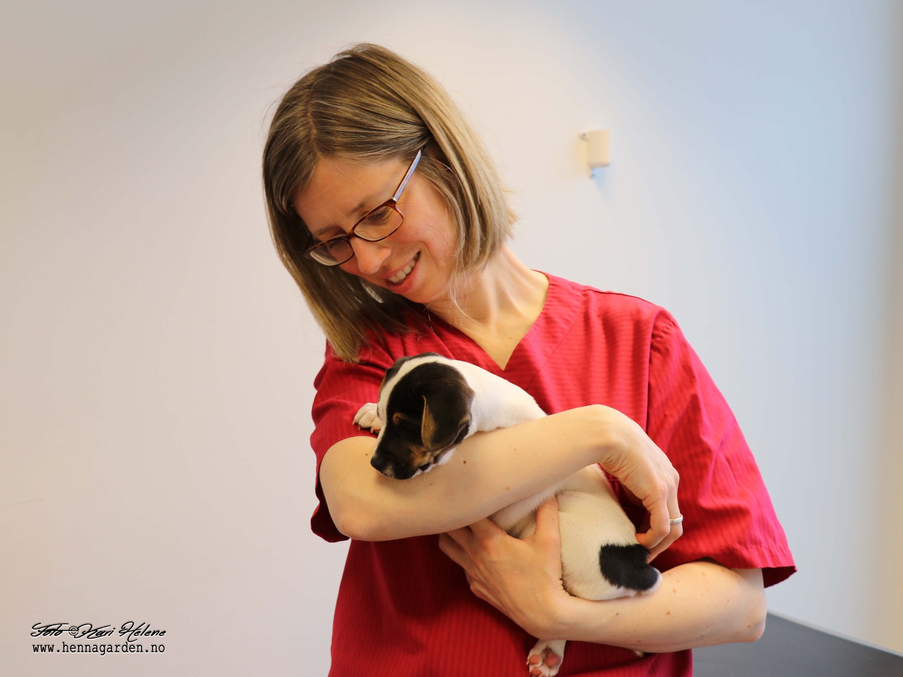 Veterinær holder hund