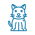 Ikon katt