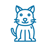 Ikon katt