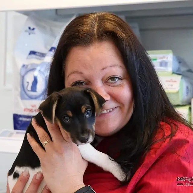 Veterinær med valp