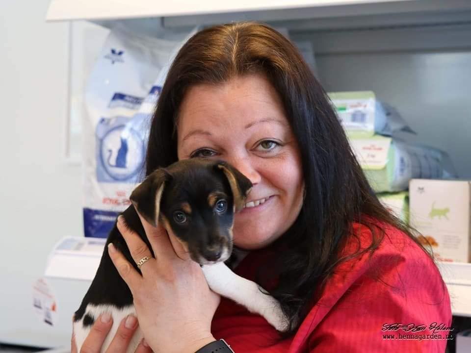 Veterinær med valp