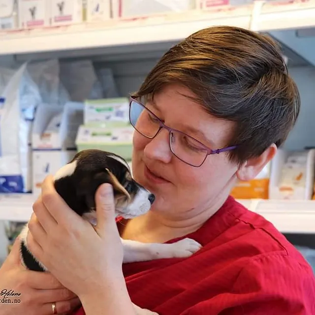 Veterinær med valp