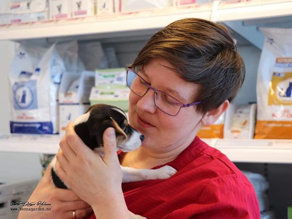 Veterinær med valp