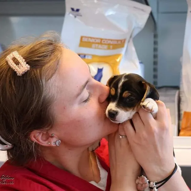 Veterinær med liten valp