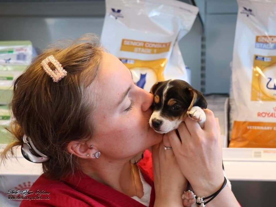Veterinær med liten valp